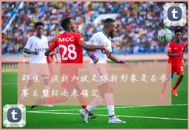 邵佳一谈新加坡足球新形象是否参赛东盟杯尚未确定